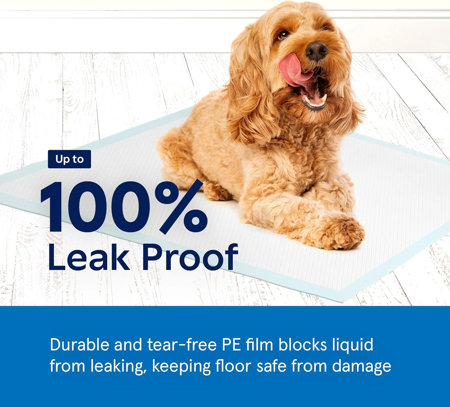 پدهای ادرار سگ و آموزش توله سگ [بسته 300 عددی] پدهای توالت سگ 55 در 55 سانتی متر - پدهای ادرار سگ ضد نشت - سطح خشک شونده سریع - پد ادرار یکبار مصرف جاذب و بادوام