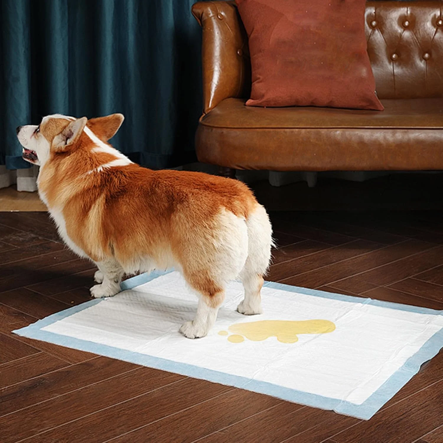 پدهای مخصوص سگ | پدهای آموزشی سگ - 100 عددی، از بین برنده بو، فوق العاده جاذب، لوازم حیوانات خانگی برای آموزش ادرار و مدفوع حیوانات کوچک، گربه ها، بچه گربه ها، همه نژادها