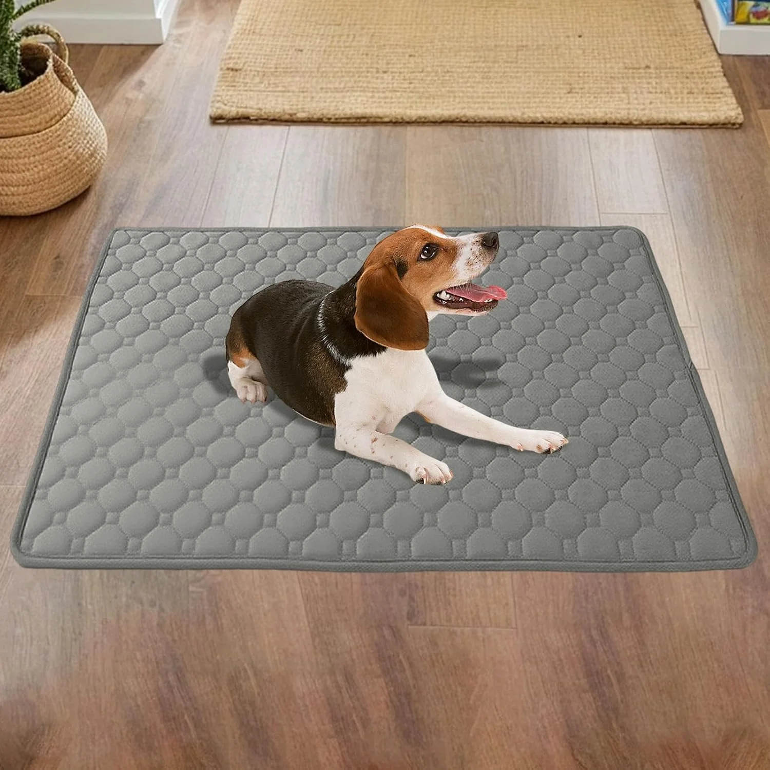 پد ادرار سگ - پدهای آموزشی جاذب سگ | محافظ ضد آب تشک قابل استفاده مجدد برای بازی در فضای داخلی، مسافرت در فضای باز، خوابیدن، آموزش و زایمان