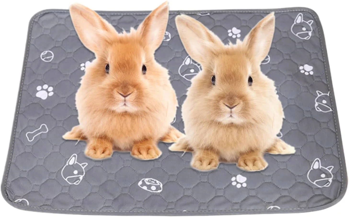 پدهای مخصوص حیوانات خانگی - پد ادرار حیوانات کوچک، زیرانداز قابل شستشو و ضد لغزش، محافظ کف، مناسب برای قفس، جعبه بستر، آموزش ادرار در داخل خانه برای گربه، راسو، همستر و چینچیلا