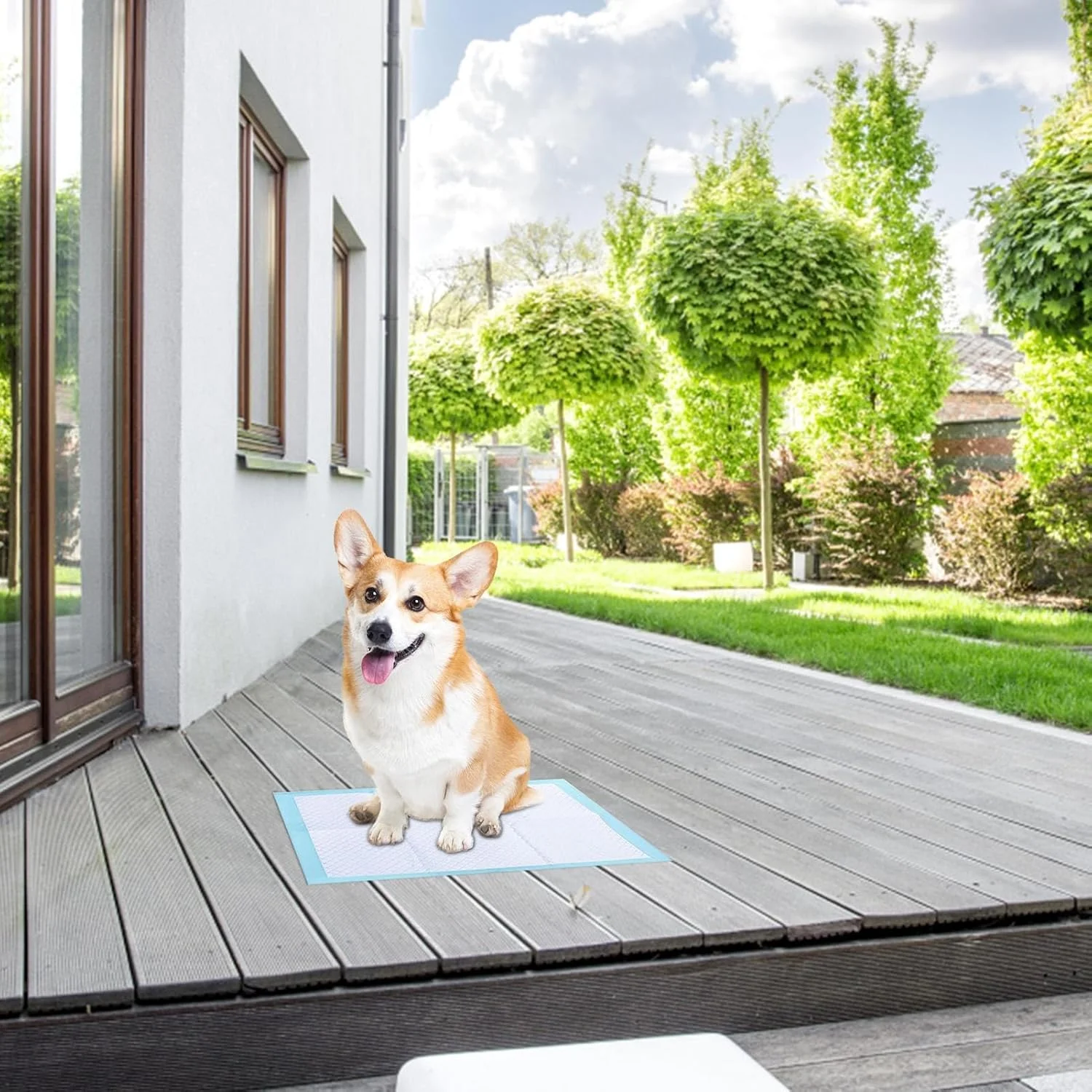 پدهای مخصوص سگ و توله سگ - زیرانداز آموزش غیر بافته شده برای سگ ها و توله سگ ها | خشک شدن سریع و ضد نشت