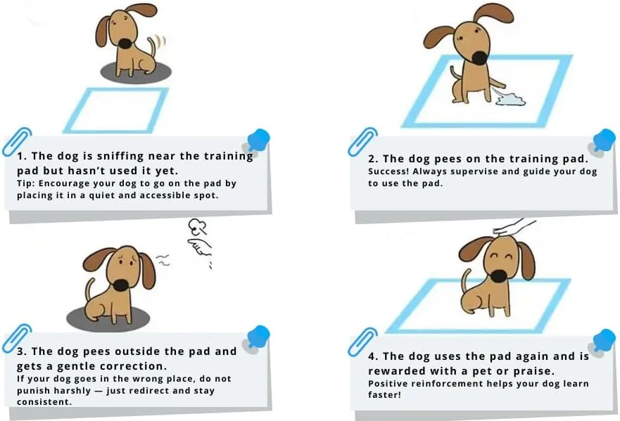 Dog Puppy Pads 60x45cm 50 Pack Medium Size 5-Layer Puppy Training Pads with Leak-Proof Quick-Dry Design Pads Pee Pads for Pets