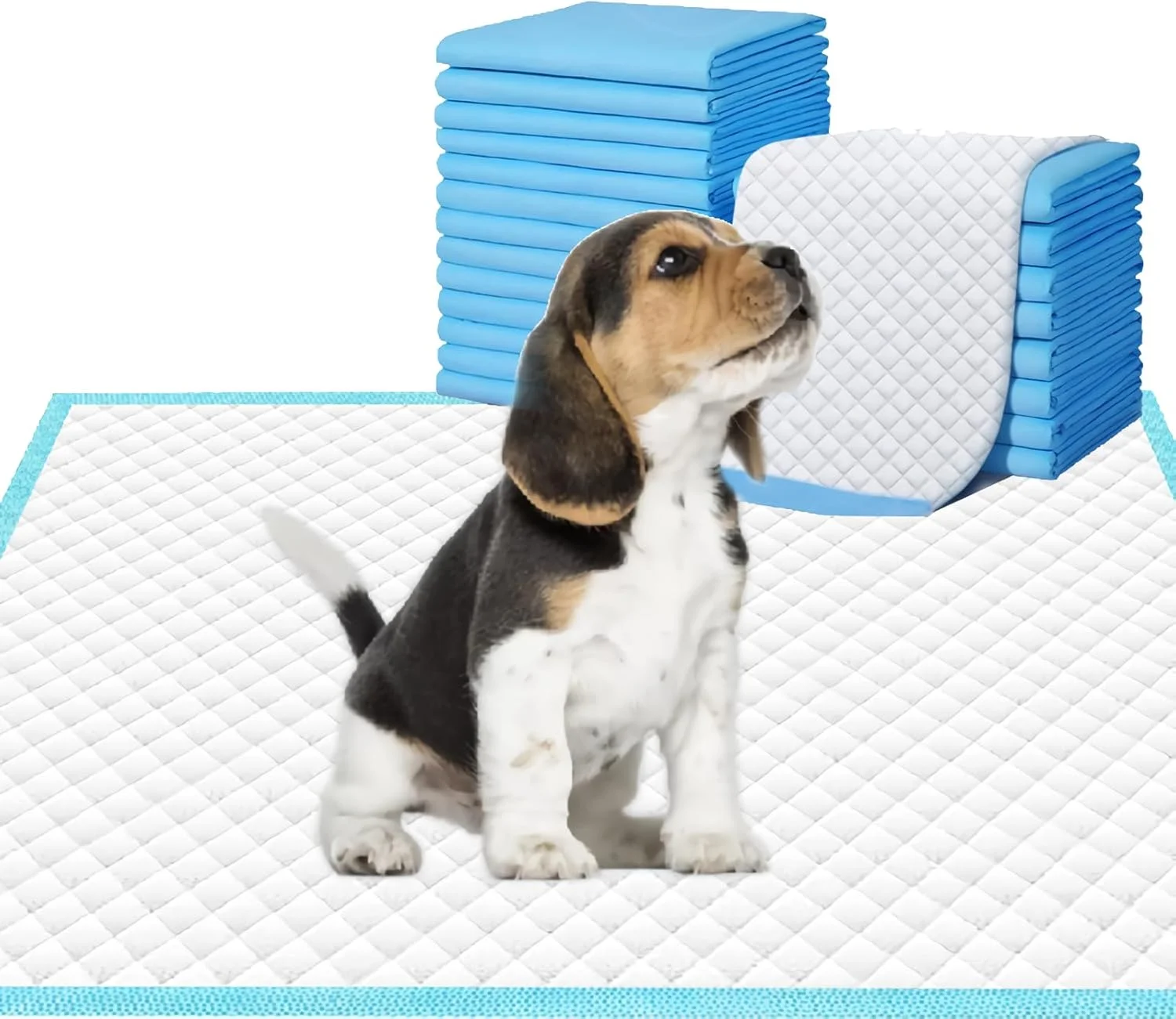 پدهای ادرار سگ و توله سگ، 60x60 سانتی متر، 40 عدد، پدهای آموزشی توله سگ، پدهای ادرار جاذب سگ برای داخل خانه، آبی و سفید (سایز بزرگ)