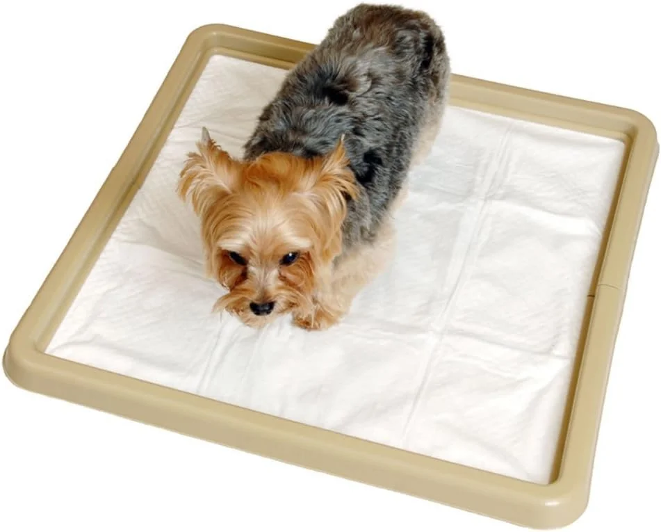 PRECISION PET Little Stinker Housebreaking Pad Holder