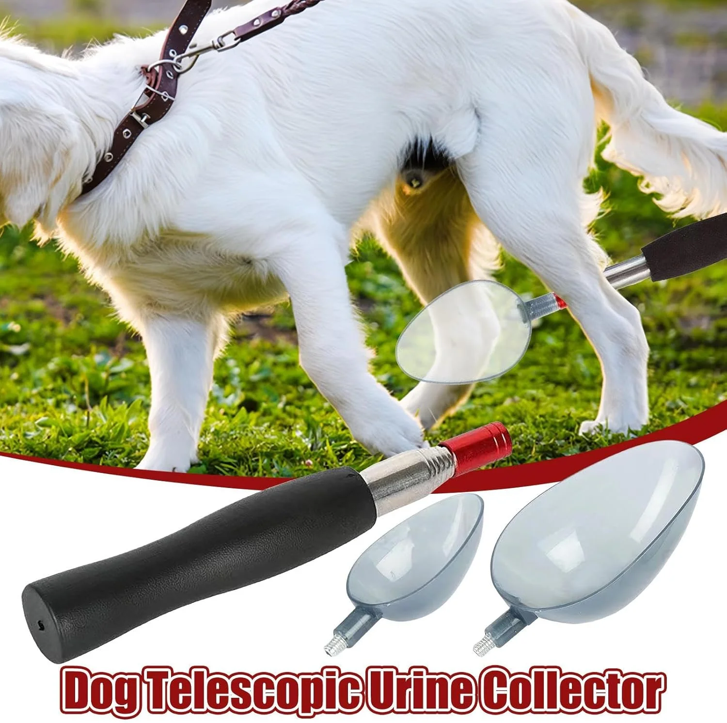 وسیله جمع آوری نمونه ادرار سگ | جمع آوری ادرار حیوانات خانگی باردار، جمع کننده ادرار تلسکوپی چند منظوره برای سگ ها، مناسب برای خانه، حیاط، آپارتمان و مسافرت