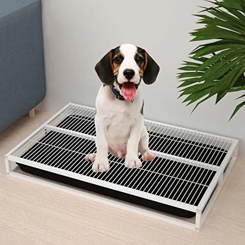 سینی آموزش ادرار سگ قابل حمل - توالت حیوانات خانگی داخلی و خارجی با تمیز کردن آسان، پنجه ها را خشک نگه می دارد، ایده آل برای آموزش توله سگ (54x37x8cm) - استفاده راحت در خانه