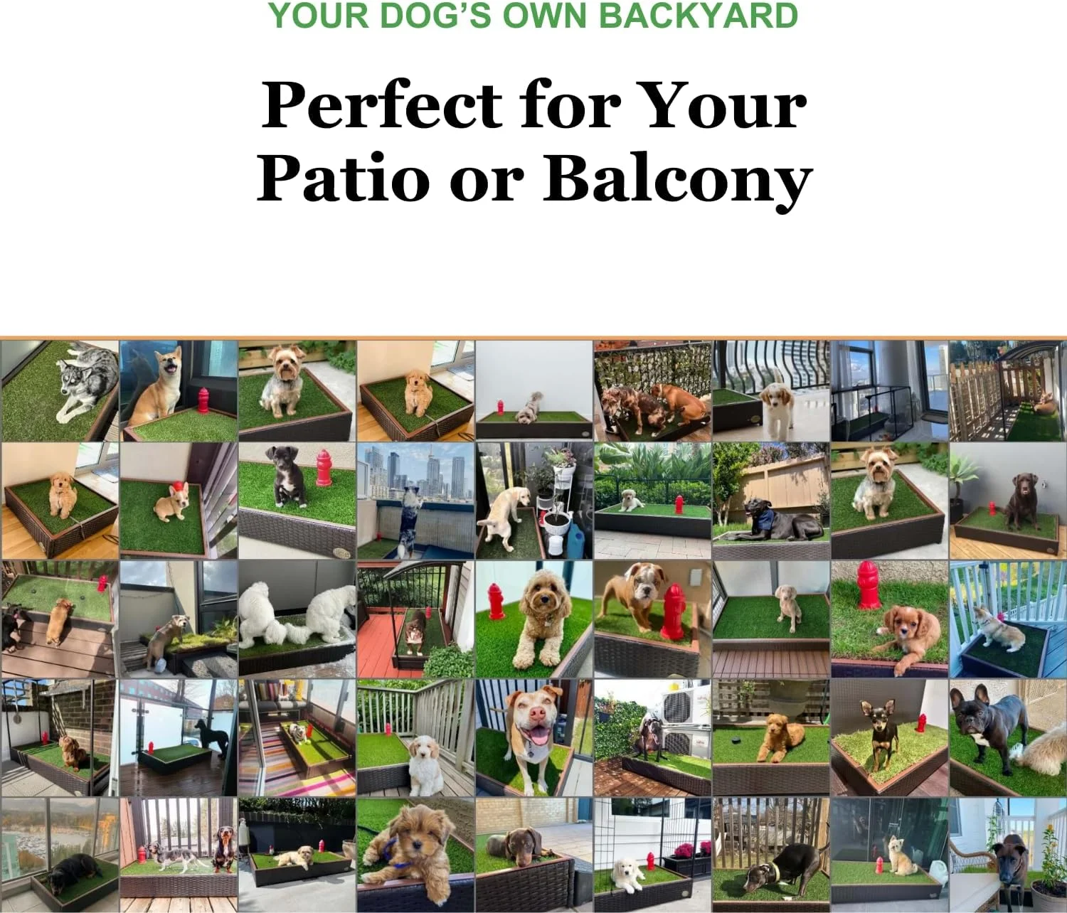 چمن مصنوعی سگ با آبپاش - پد آموزش ادرار قابل استفاده مجدد با کیفیت عالی - پد ادرار قابل شستشو برای سگ - زهکشی فوری - مساحت چمن 120x60 سانتی متر