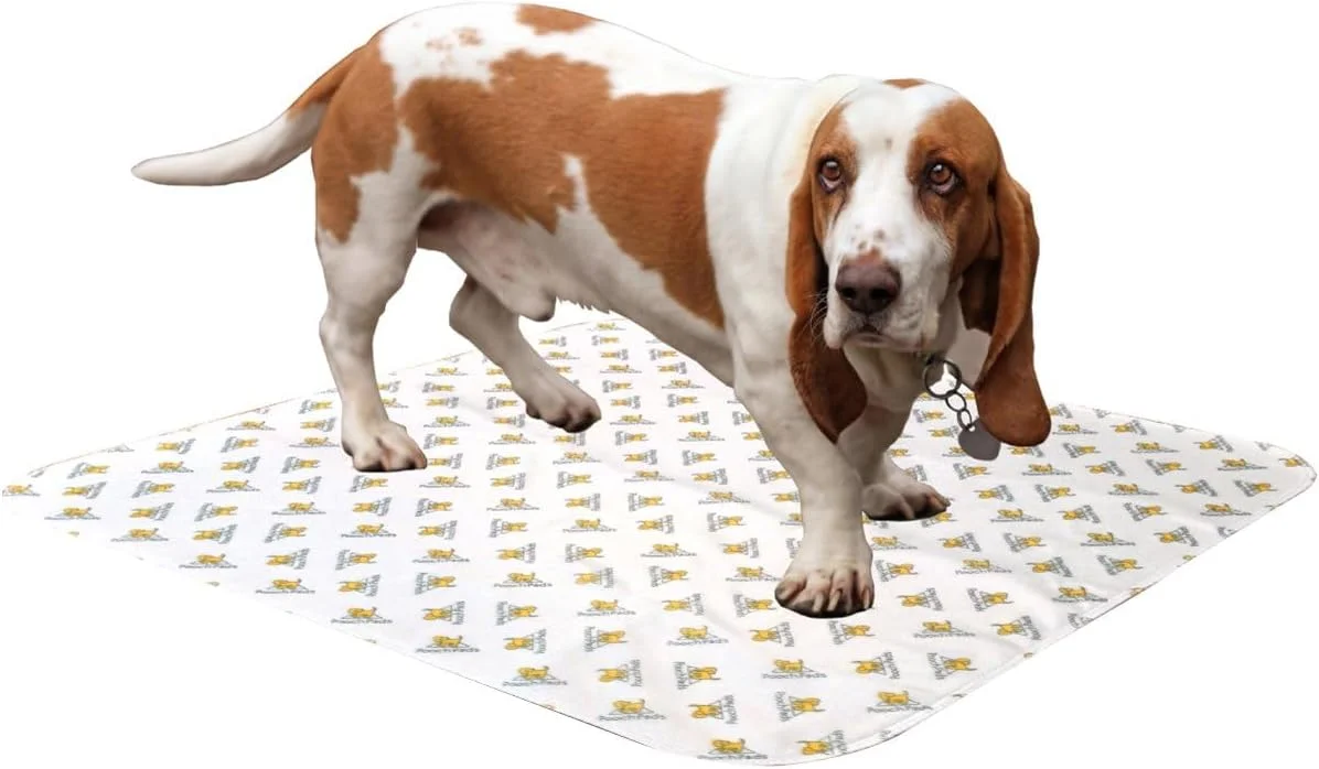 پد سگ سنتی پوچ پد، متوسط، 50 در 68 سانتی متر - سفید