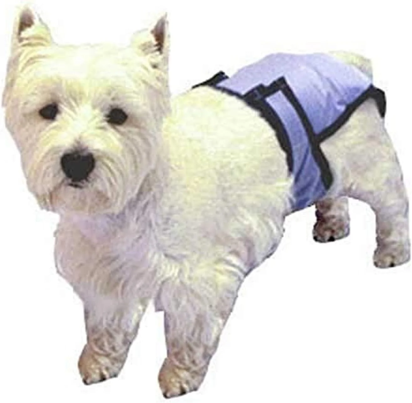 شورت بهداشتی سگ پاچ پد - سایز خیلی خیلی بزرگ