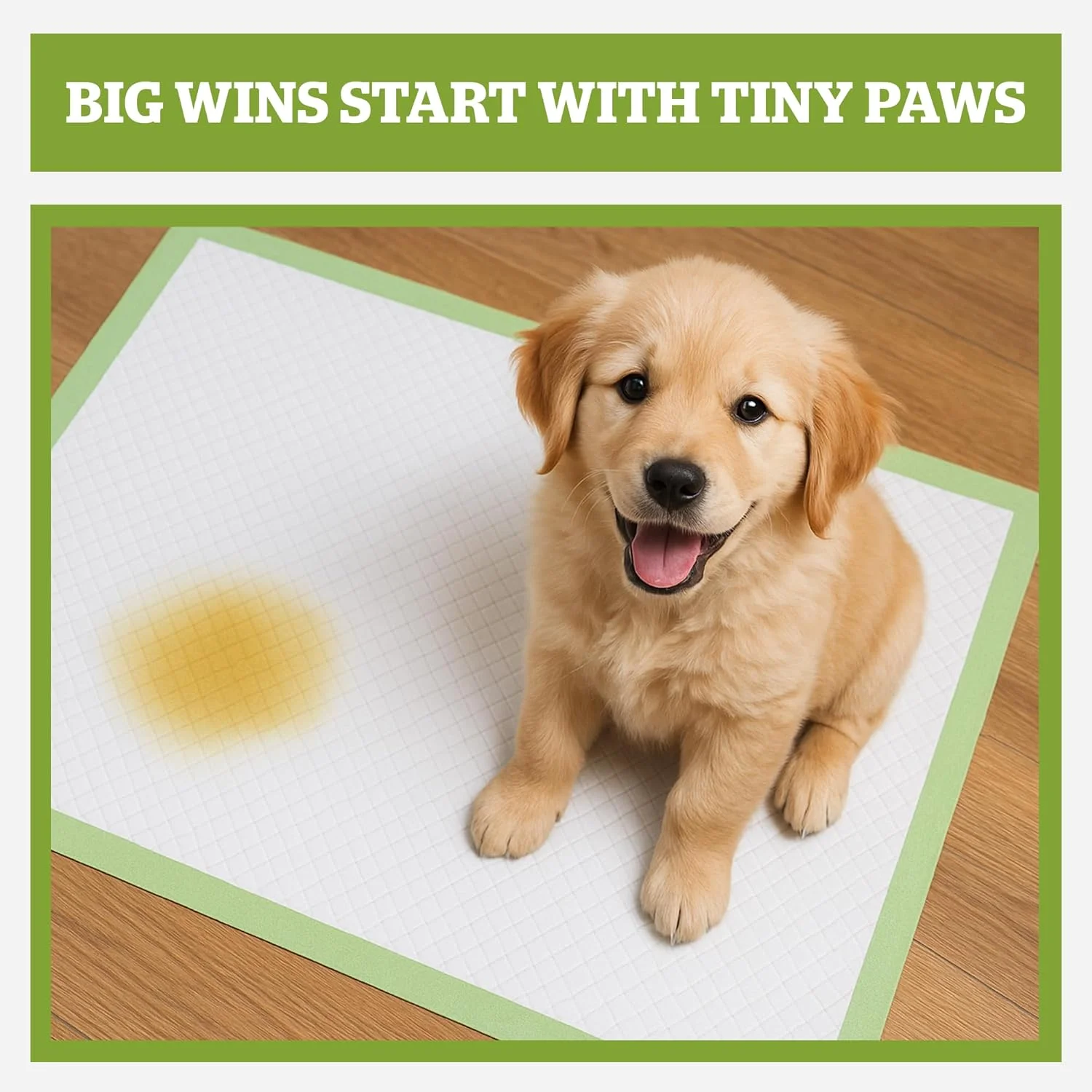 Pogi's Training Pads - Medium, Super-Absorbent, Puppy Training Pads with Sticky Tabs for Small to Medium Sized Dogs (Medium - 45 x 60 cm, 20-Count)