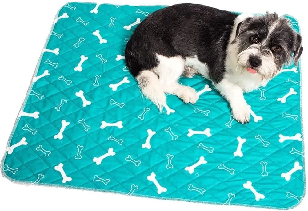 پدهای آموزشی سگ قابل شستشو و استفاده مجدد، پد ادرار سگ، پد آموزشی توله سگ، پد بی اختیاری حیوانات خانگی با جذب فوق العاده، پدهای مسافرتی ضد نشت برای سگ/گربه/خرگوش کوچک و بزرگ پدهای آموزشی سگ قابل شستشو و استفاده مجدد، پد ادرار سگ، پد آموزشی توله سگ، پد بی اختیاری حیوانات خانگی با جذب فوق العاده، پدهای مسافرتی ضد نشت برای سگ/گربه/خرگوش کوچک و بزرگ