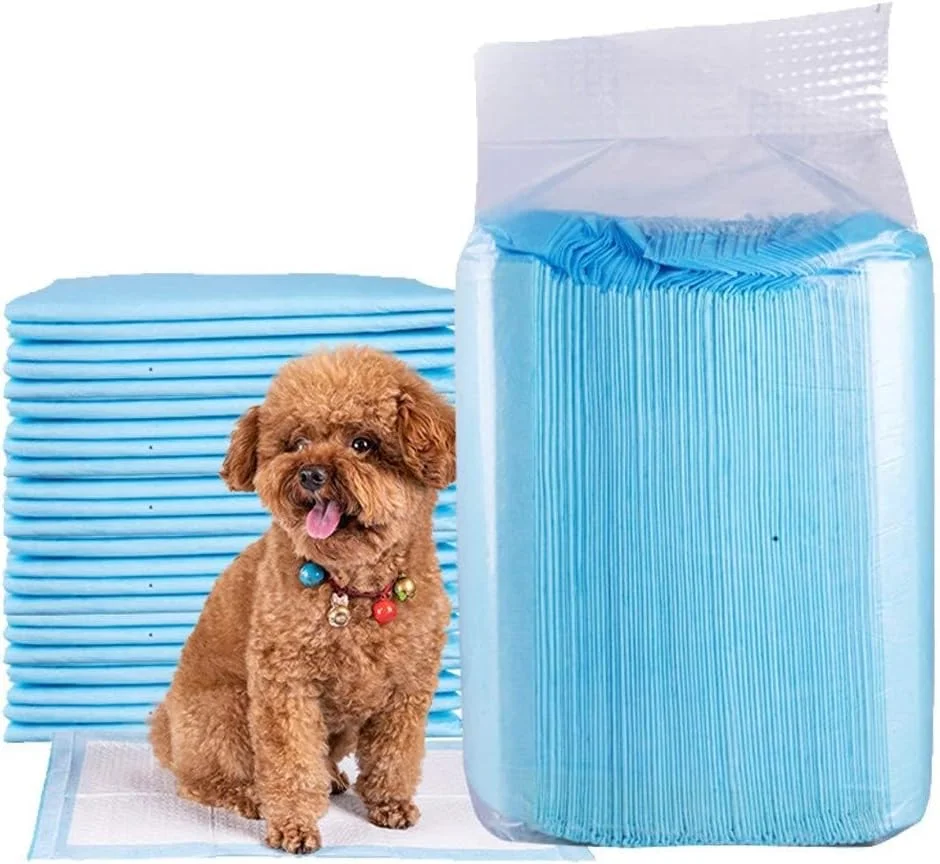 پدهای آموزشی حیوانات خانگی، پد بی اختیاری ادرار، پدهای آموزشی سگ و توله سگ، پد جاذب ادرار توالت حیوانات خانگی، بسیار جاذب و ضد نشت برای محافظت از کف و فرش شما پدهای آموزشی حیوانات خانگی، پد بی اختیاری ادرار، پدهای آموزشی سگ و توله سگ، پد جاذب ادرار توالت حیوانات خانگی، بسیار جاذب و ضد نشت برای محافظت از کف و فرش شما