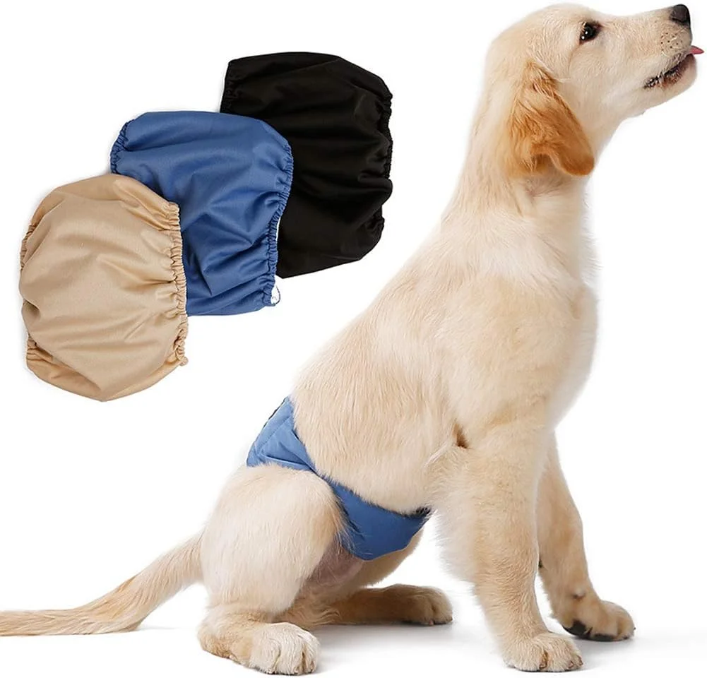 شورت بهداشتی سگ نر، شلوار فیزیولوژیکی حیوانات خانگی، شورت بهداشتی سگ قابل شستشو، پوشک بهداشتی سگ نر، لباس زیر ضد نشت توله سگ قابل استفاده مجدد شورت بهداشتی سگ نر، شلوار فیزیولوژیکی حیوانات خانگی، شورت بهداشتی سگ قابل شستشو، پوشک بهداشتی سگ نر، لباس زیر ضد نشت توله سگ قابل استفاده مجدد