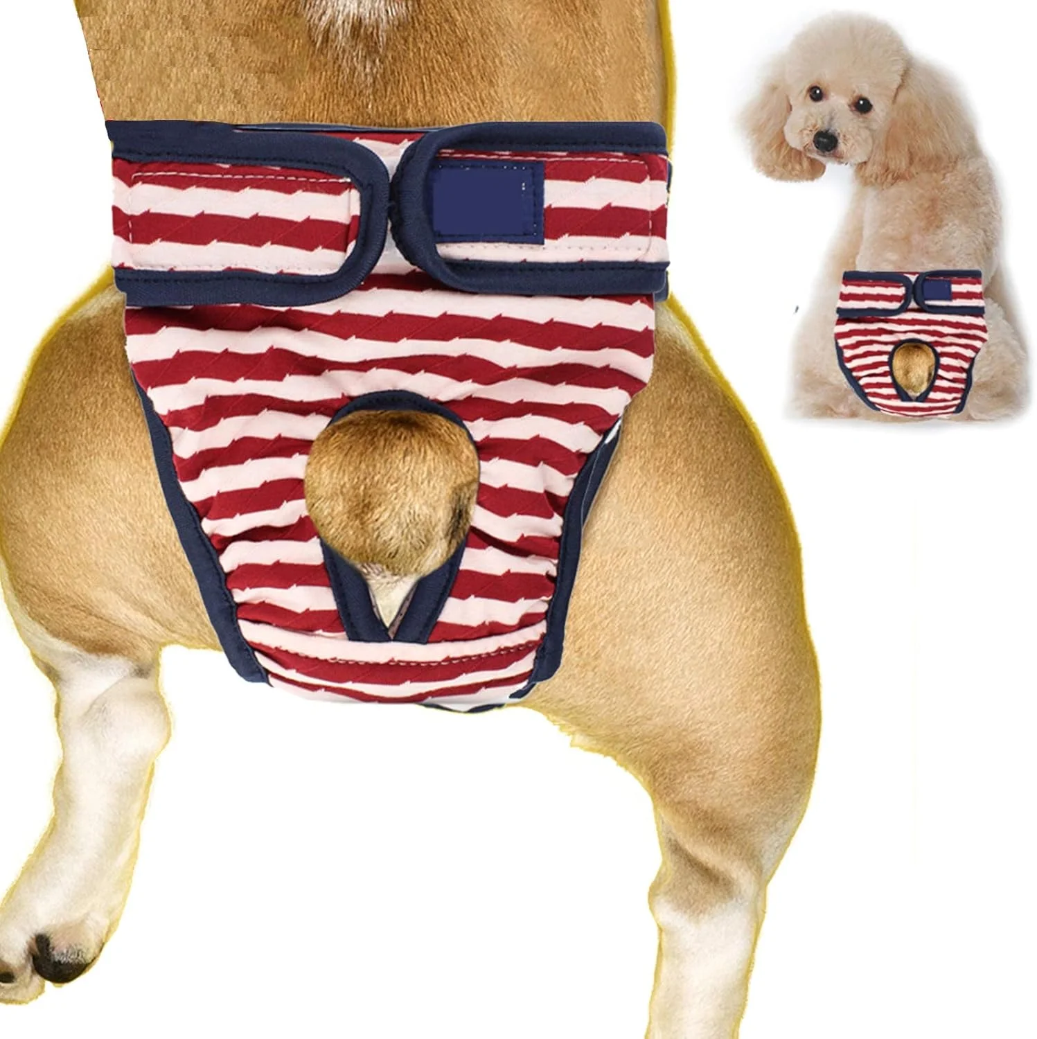 شورت بهداشتی سگ ماده، بسته 3 عددی، پوشک حیوانات خانگی قابل استفاده مجدد، شورت فیزیولوژیکی، پوشک بی اختیاری سگ قابل شستشو در ماشین لباسشویی، راحت، بادوام و قابل تنظیم