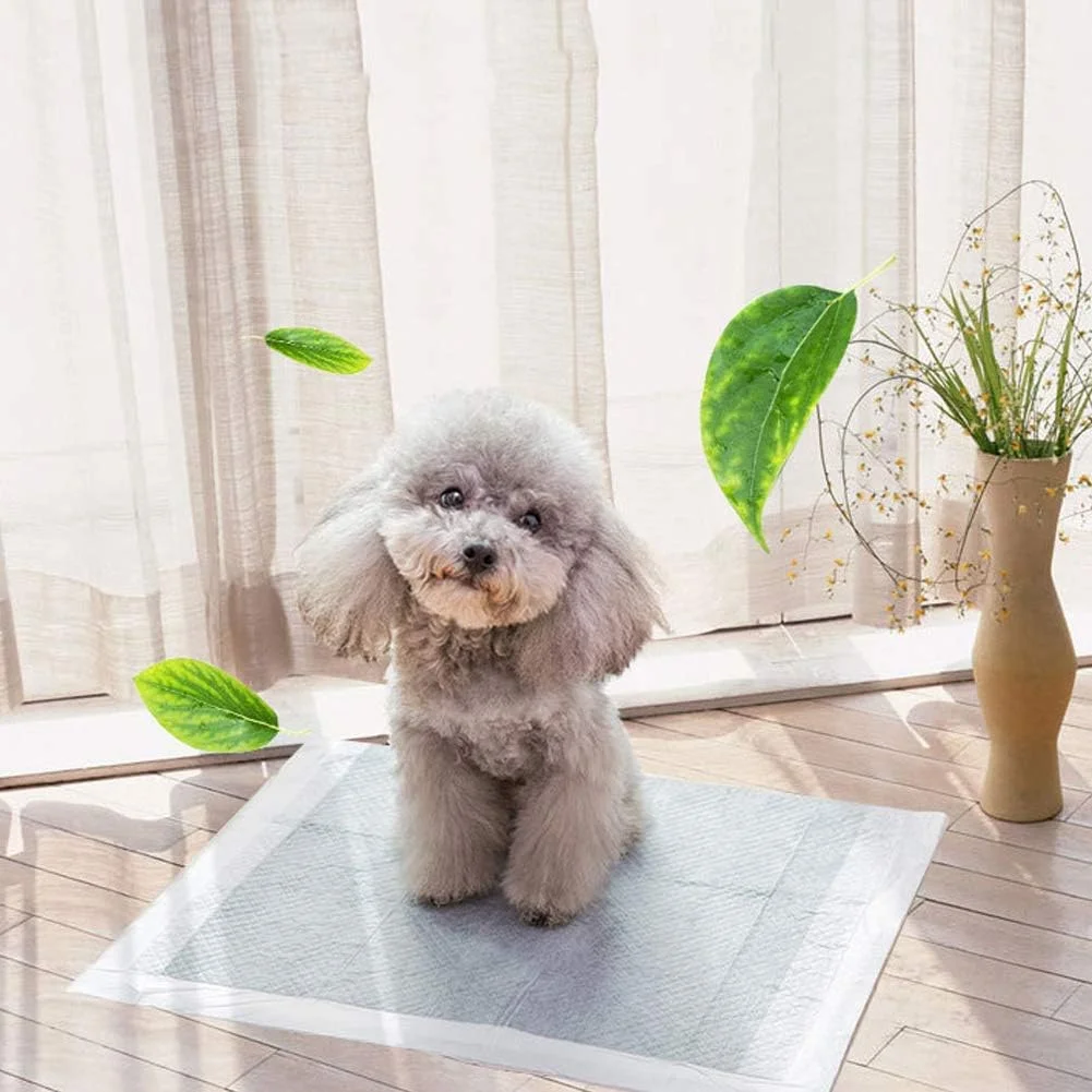 پدهای کربنی آموزش ادرار سگ و توله سگ، پدهای جاذب ادرار سگ با قابلیت جذب فوق العاده و از بین برنده بو، پدهای ضخیم 5 لایه محافظت از فرش در برابر بو