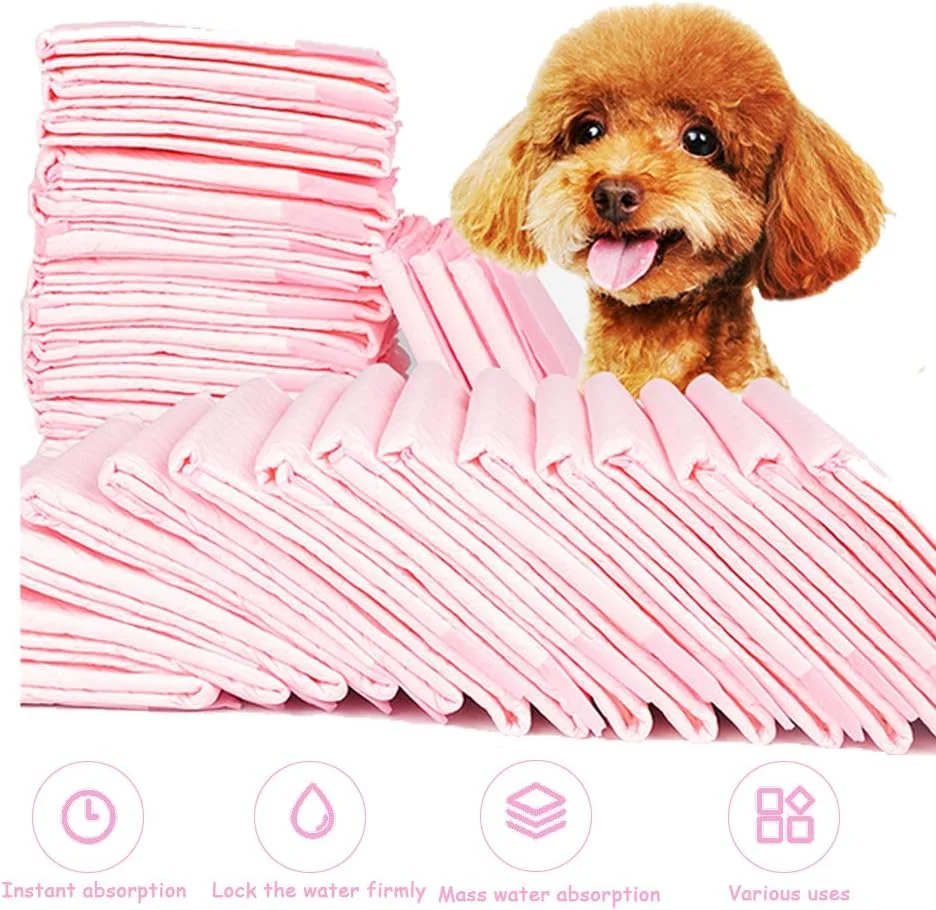 پدهای فوق العاده جاذب آموزش ادرار حیوانات خانگی و سگ، پد توالت سگ، ضد لغزش/خشک شونده سریع/ضخیم و ضد نشت پد آموزش ادرار حیوانات خانگی برای سگ های کوچک محافظت از کف