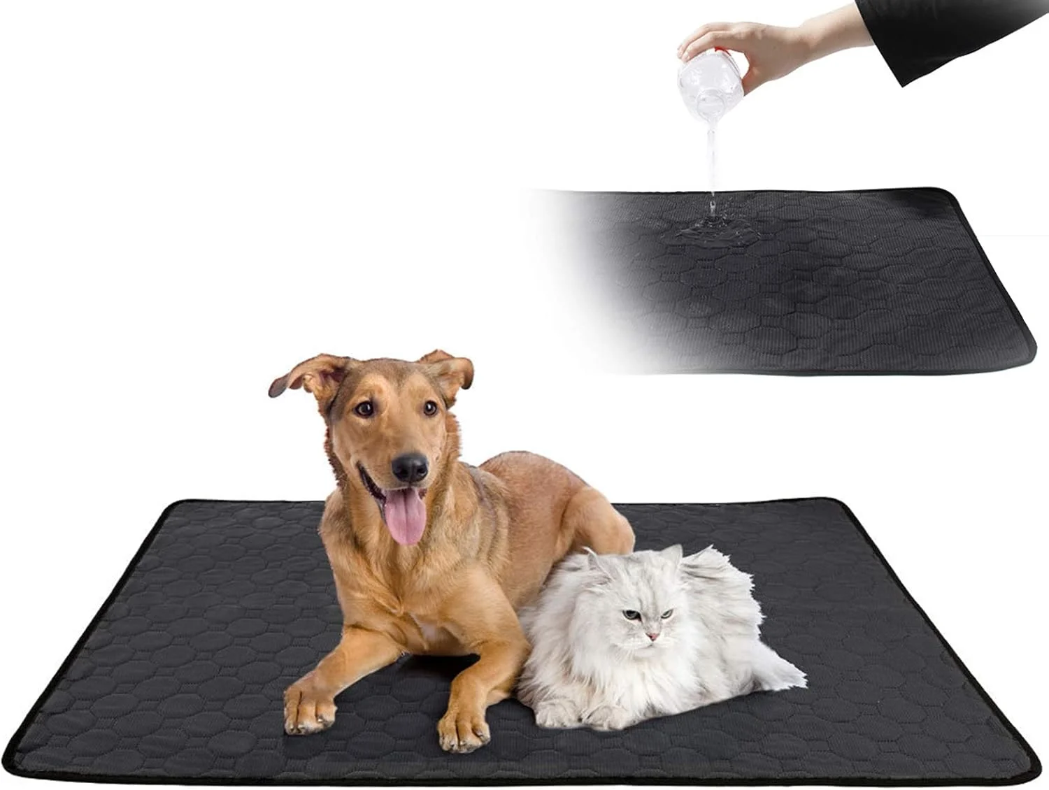 پد ادرار قابل استفاده مجدد برای سگ (2 عدد)، پد ضد آب سگ و گربه، پد آموزش ادرار توله سگ قابل شستشو، پد جاذب ادرار برای خرگوش و توله سگ، مناسب برای داخل خانه، خارج از خانه یا آموزش در لانه