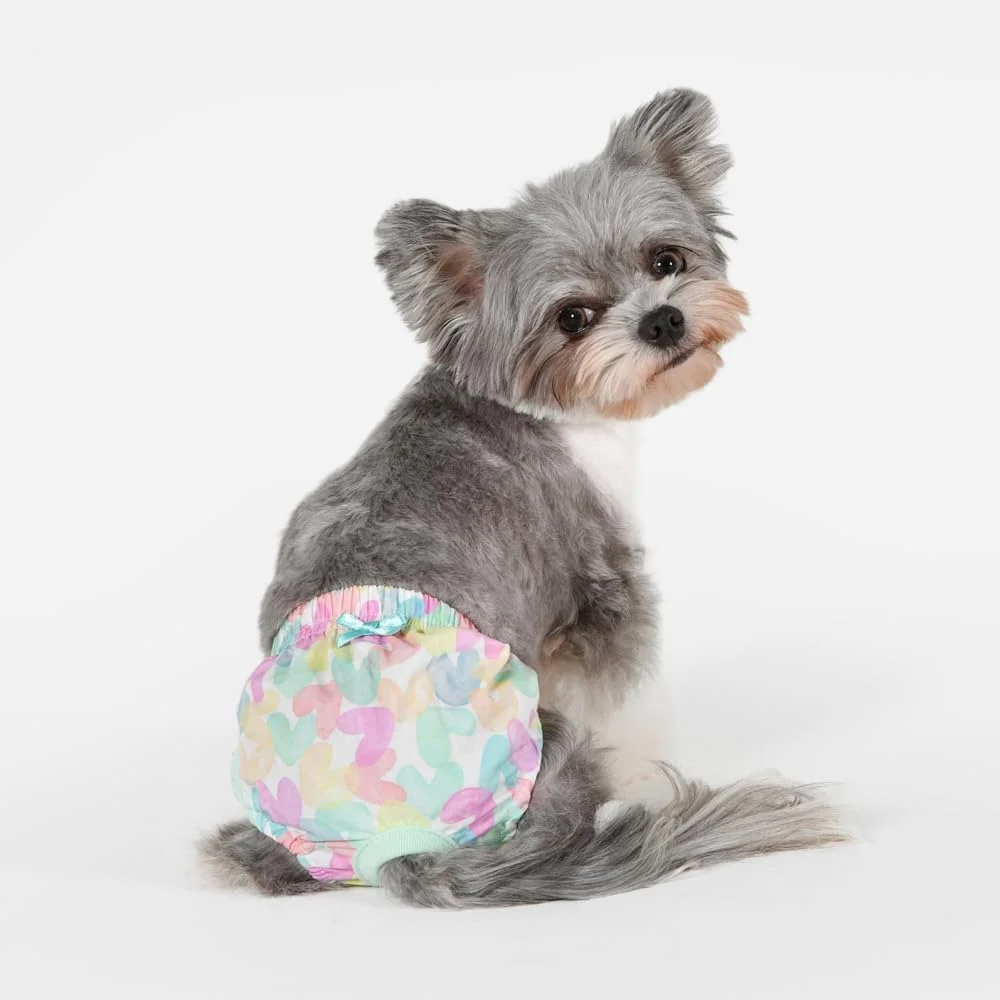 شورت بهداشتی سگ Pinkaholic New York Diana، سایز M نعنایی