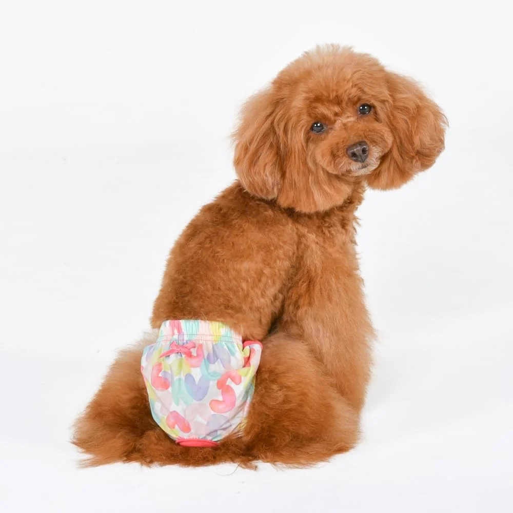 شورت بهداشتی سگ Pinkaholic New York Diana سایز L رنگ فانتا