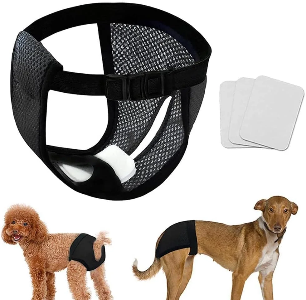 شورت بهداشتی توری سگ با 3 پد پنبه ای، شورت نرم و قابل شستشو برای سگ های ماده