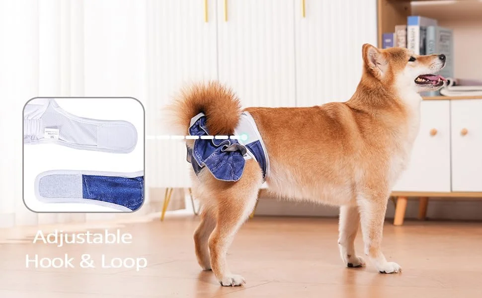 شلوار بهداشتی سگ، ۳ عدد پوشک قابل استفاده مجدد، پوشک سگ ماده قابل شستشو (۳ عدد * سایز بزرگ، دور کمر بین ۴۸ تا ۶۵ سانتی متر)