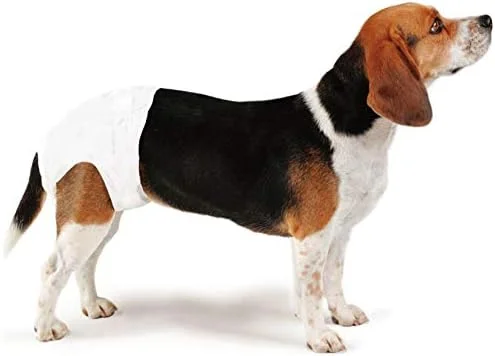 پوشک سگ یکبار مصرف پت وگ با لایه های جاذب، بزرگ (60 در 37 سانتی متر)، بسته 12 عددی