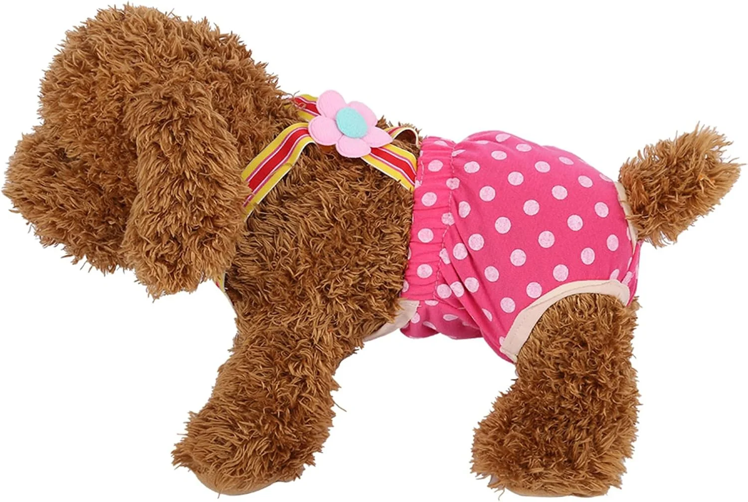 شورت بهداشتی سگ ماده در 6 سایز مختلف به همراه بند شانه ای