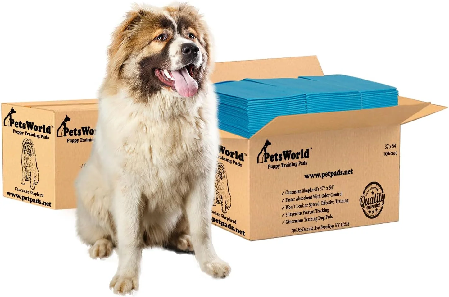 پدهای سگ قفقازی پتس ورلد سایز XXXL بسیار بزرگ 94x137، مقاوم در برابر پارگی، بسیار قوی و ضد نشت (200 عدد)