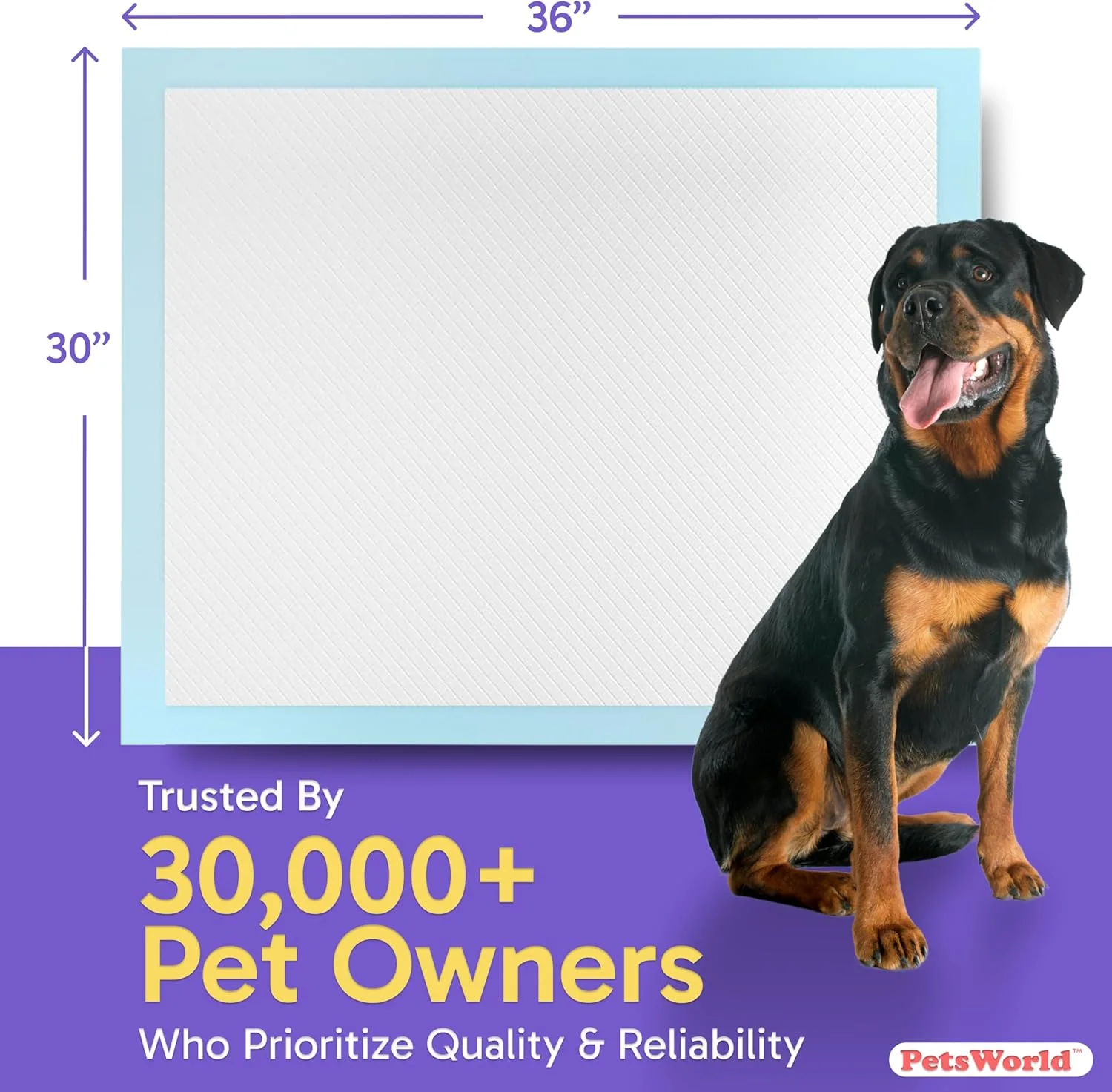 پدهای آموزشی سگ پتس ورلد، بسته 50 عددی، 76x91 سانتی متر، قوی و فوق العاده جاذب، ضد نشت پدهای آموزشی سگ پتس ورلد، بسته 50 عددی، 76x91 سانتی متر، قوی و فوق العاده جاذب، ضد نشت