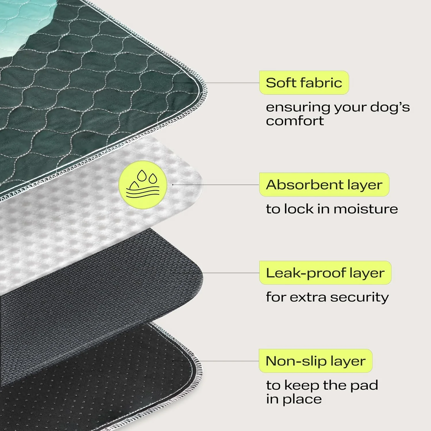 پدهای ادرار شوی سگ PetSpy بسته 2 عددی (45x60 سانتی‌متر) - پدهای ضدآب و قابل استفاده مجدد برای توله سگ با سطح ضد لغزش - پدهای آموزش دستشویی سگ شیک برای محافظت در برابر نشت مناسب سگ‌های کوچک، متوسط و بزرگ