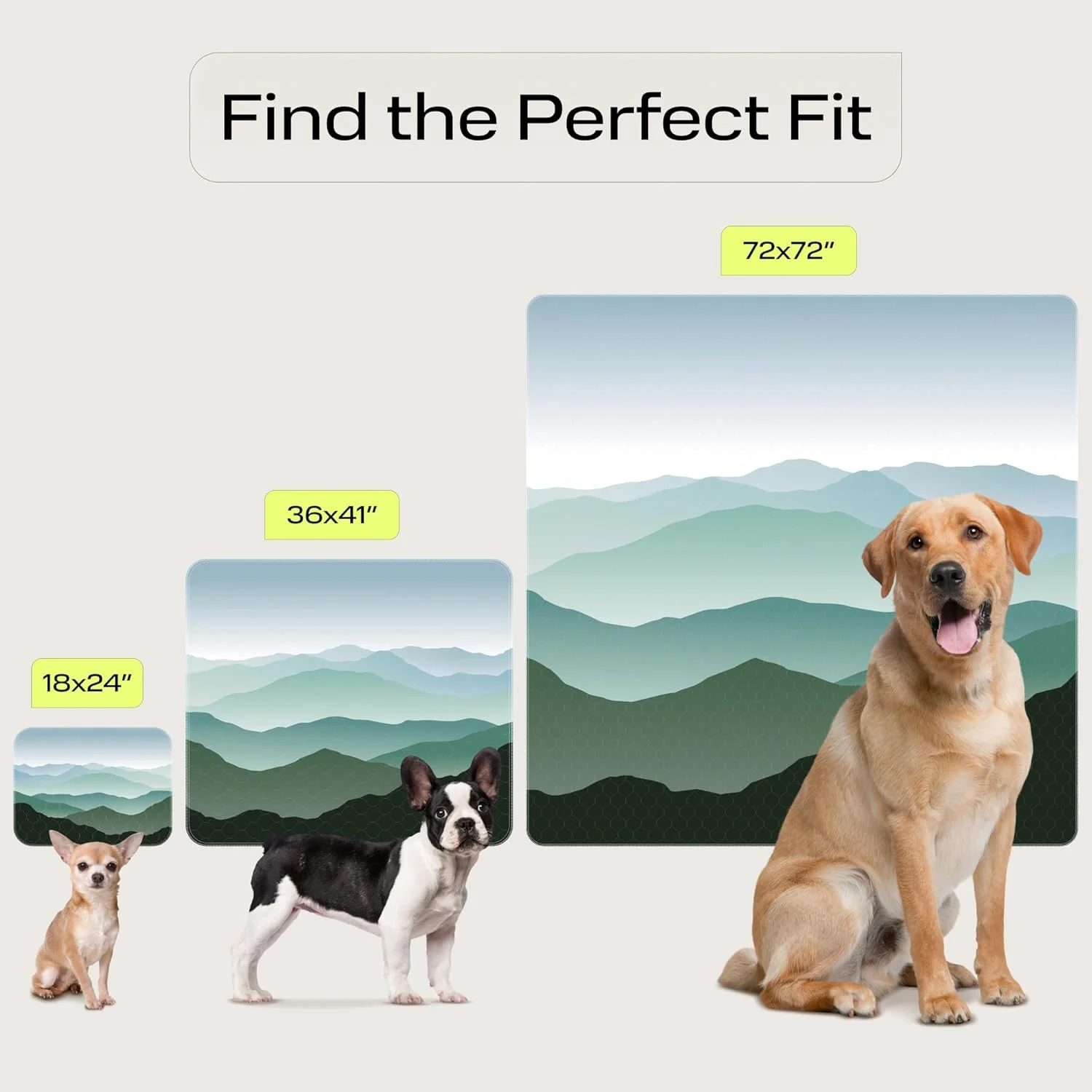 پدهای ادرار شوی سگ PetSpy بسته 2 عددی (45x60 سانتی‌متر) - پدهای ضدآب و قابل استفاده مجدد برای توله سگ با سطح ضد لغزش - پدهای آموزش دستشویی سگ شیک برای محافظت در برابر نشت مناسب سگ‌های کوچک، متوسط و بزرگ