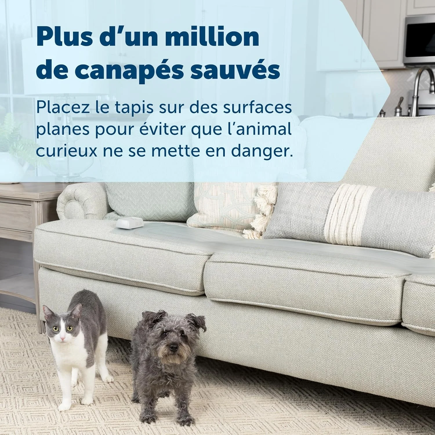 پد آموزشی داخلی حیوانات خانگی پت سیف مدل Scatmat، مناسب مبل، 150 در 30 سانتی متر