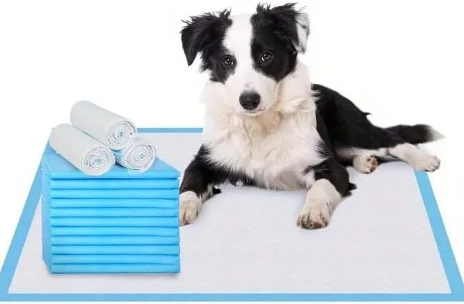 پدهای آموزشی سگ Pets Plus - بزرگ/خیلی بزرگ، فوق العاده جاذب، ضد نشت، خشک شدن سریع، کنترل بو، محافظت سنگین از کف، 15 عدد