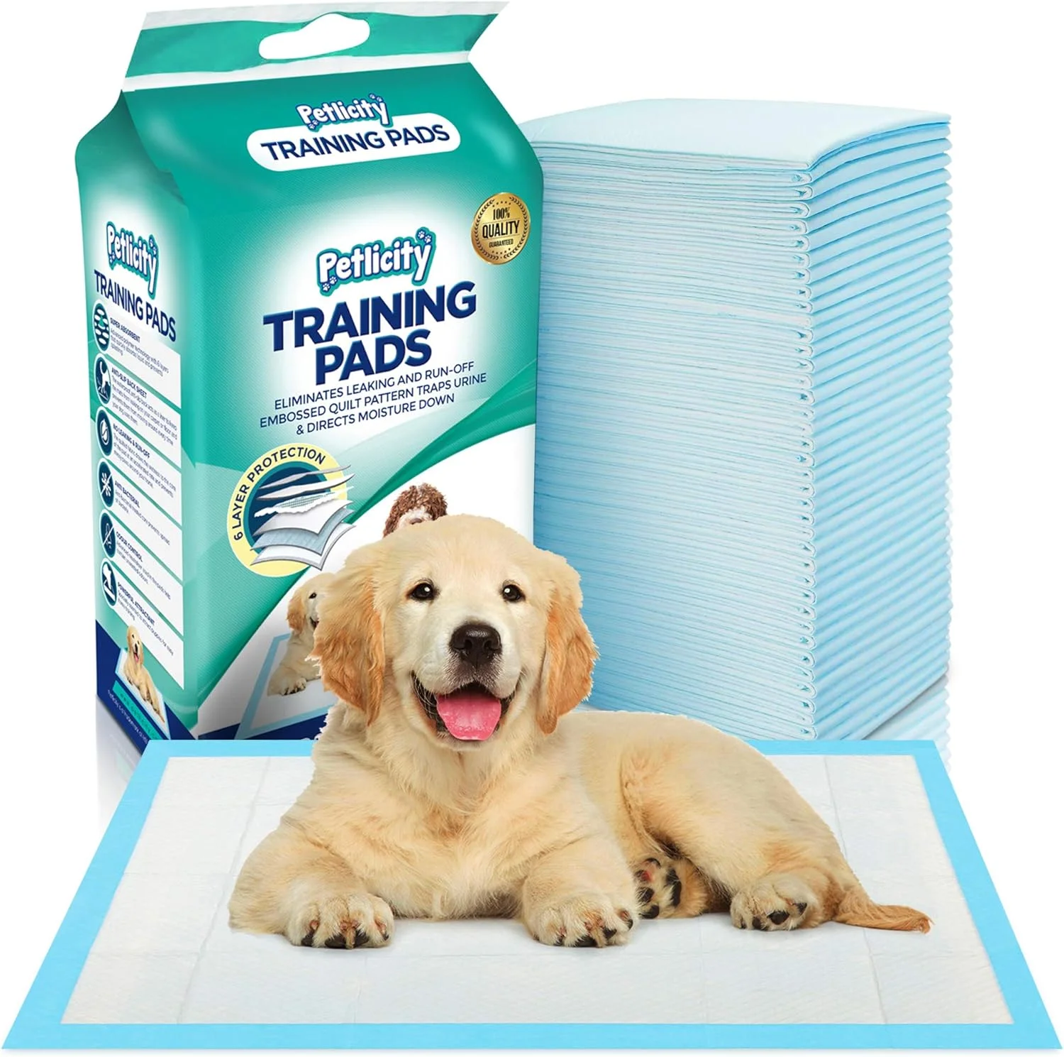 پد آموزشی دستشویی سگ و توله سگ Petlicity بسته 50 عددی - پدهای بسیار جاذب برای محافظت از کف، فرش و مبلمان شما (کوچک 45 سانتی متر در 60 سانتی متر)