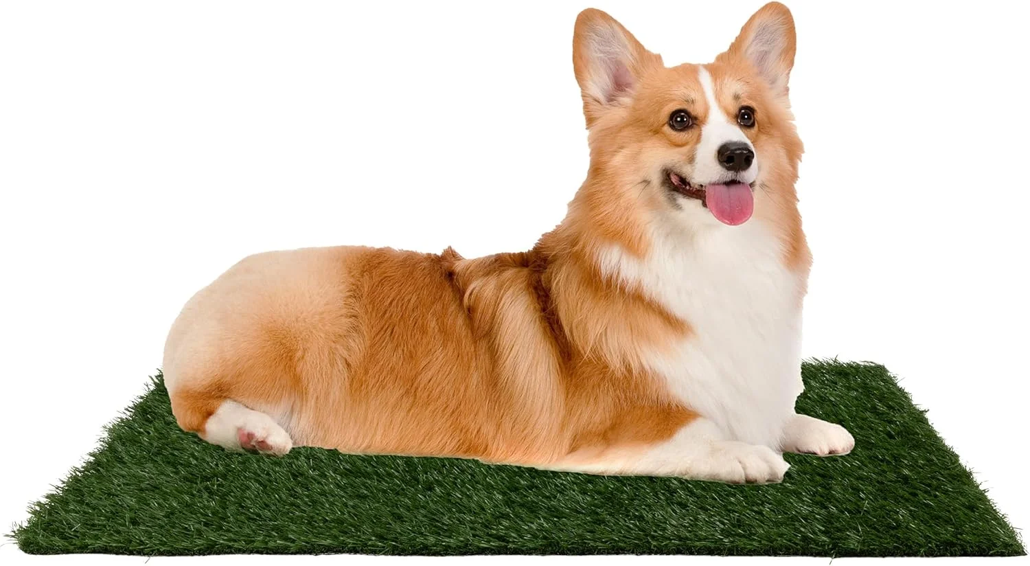 پدهای ادرار سگ پتمیکر - مجموعه سه تایی تشک چمن مصنوعی جایگزین 58x47 سانتیمتری برای آموزش دستشویی - لوازم آموزش سگ برای حیوانات خانگی کوچک توسط پتمیکر پدهای ادرار سگ پتمیکر - مجموعه سه تایی تشک چمن مصنوعی جایگزین 58x47 سانتیمتری برای آموزش دستشویی - لوازم آموزش سگ برای حیوانات خانگی کوچک توسط پتمیکر