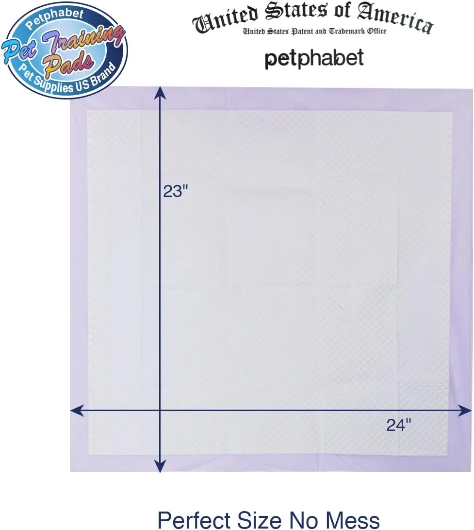 پدهای ادرار سگ پت‌الفابت، فوق‌العاده جاذب، مناسب آموزش ادرار توله سگ، بسته 100 عددی، 58 در 61 سانتی‌متر