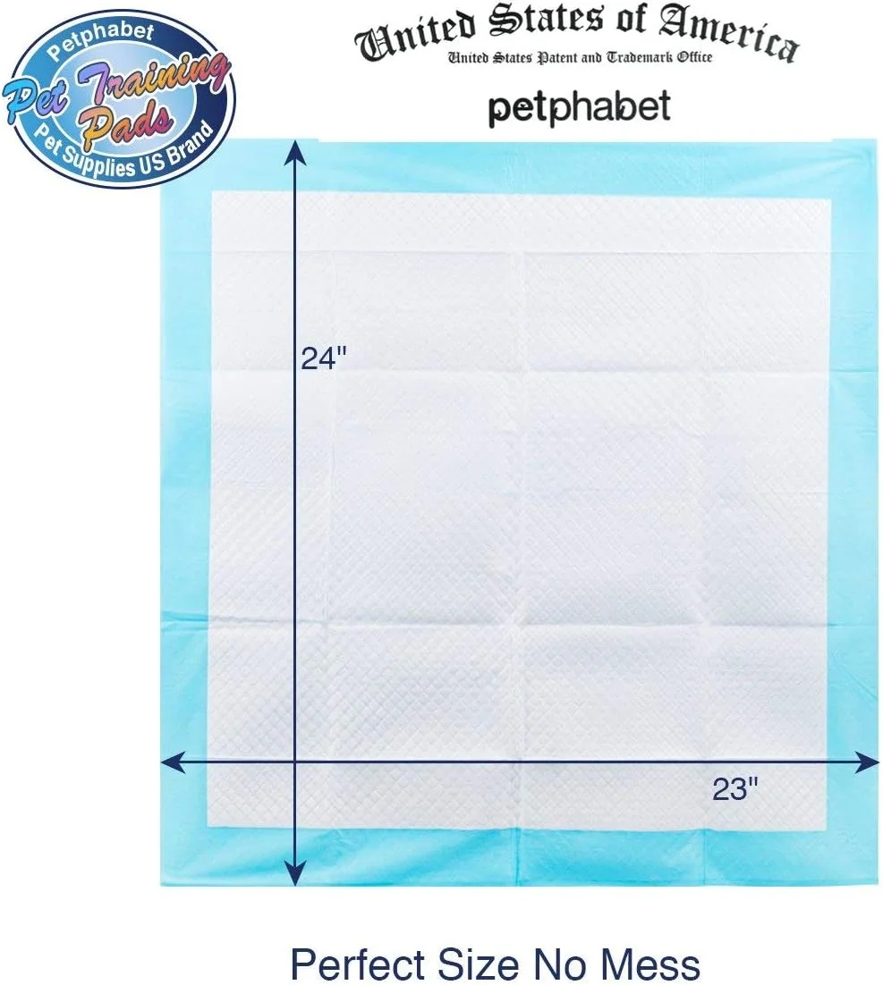 پدهای آموزشی ادرار سگ و توله سگ پت الفابت - جعبه های 84، 100 و 150 عددی - سایز بزرگ 58 در 61 سانتی متر - پدهای فوق جاذب ادرار برای آموزش دستشویی توله سگ (بسته 84 عددی)