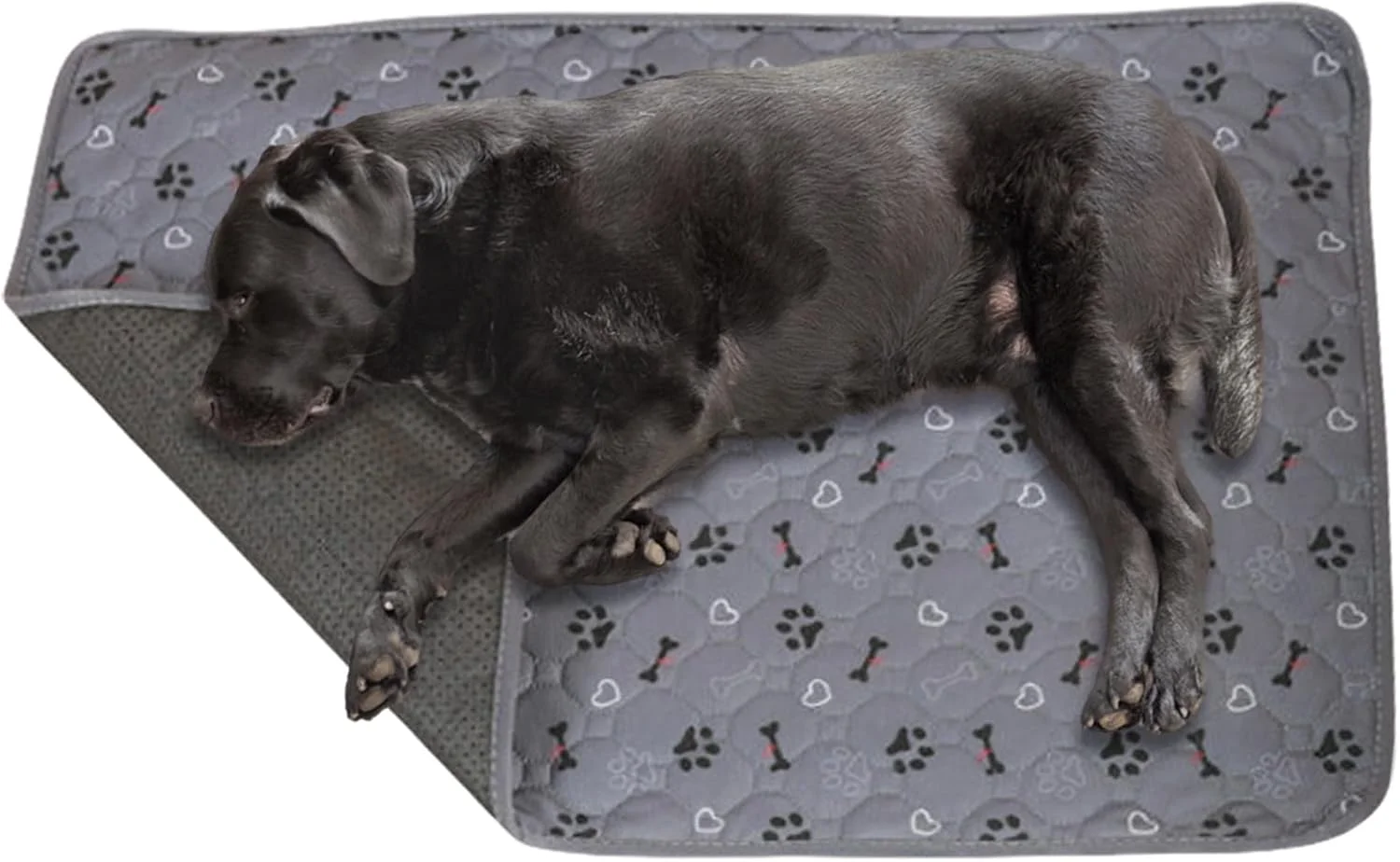 پد ادرار حیوانات خانگی، پد آموزشی سگ - تشک قابل شستشو، جاذب و خشک‌شونده سریع و ضد لغزش برای کلینیک‌های دامپزشکی، صندلی ماشین، آموزش سگ و مسافرت