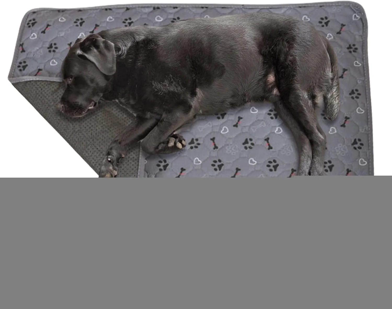 پد ادرار حیوانات خانگی - پد ادرار توله سگ | زیرانداز جاذب و خشک‌شونده سریع و ضد لغزش برای سفر، کلینیک‌های دامپزشکی، مراقبت از سالمندان و پوشش کف باکس