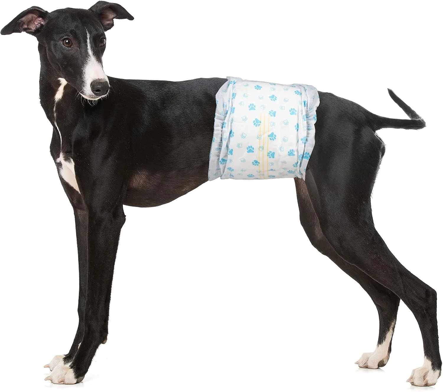 پوشک سگ نر یکبار مصرف پت سافت - پوشک سگ برای سگ های نر، پوشک توله سگ با نشانگر رطوبت، سایز متوسط، 48 عدد