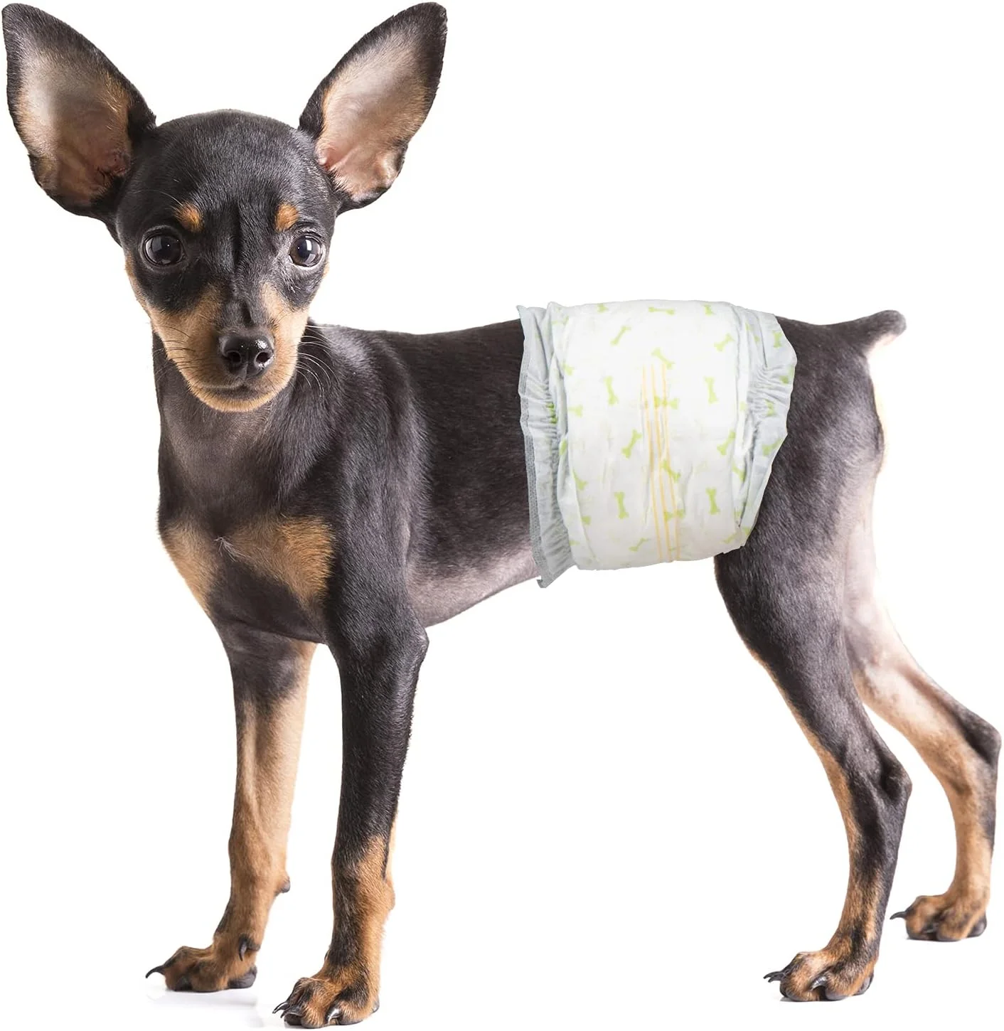 پوشک سگ نر یکبار مصرف پت سافت - پوشک سگ برای سگ های نر، پوشک توله سگ با نشانگر رطوبت 48 عددی سایز کوچک