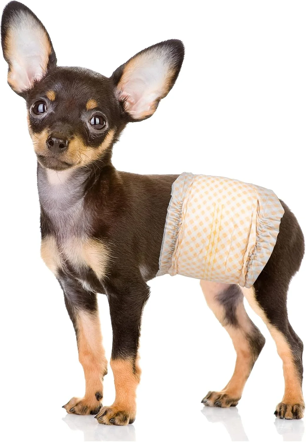 پوشک سگ نر یکبار مصرف پت سافت - پوشک سگ برای سگ های نر، پوشک توله سگ با نشانگر رطوبت ۴۸ عدد خیلی کوچک