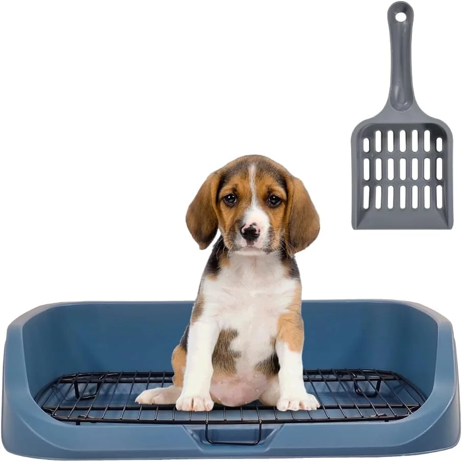 توالت سگ تخت مناسب فروشگاه حیوانات خانگی در بازار اژدها به همراه بیلچه و محفظه توری استیل ضد زنگ، سینی آموزش سگ، حفظ تمیزی پنجه ها و کف، سینی بستر سگ، قابل شستشو و تمیز کردن آسان (آبی)