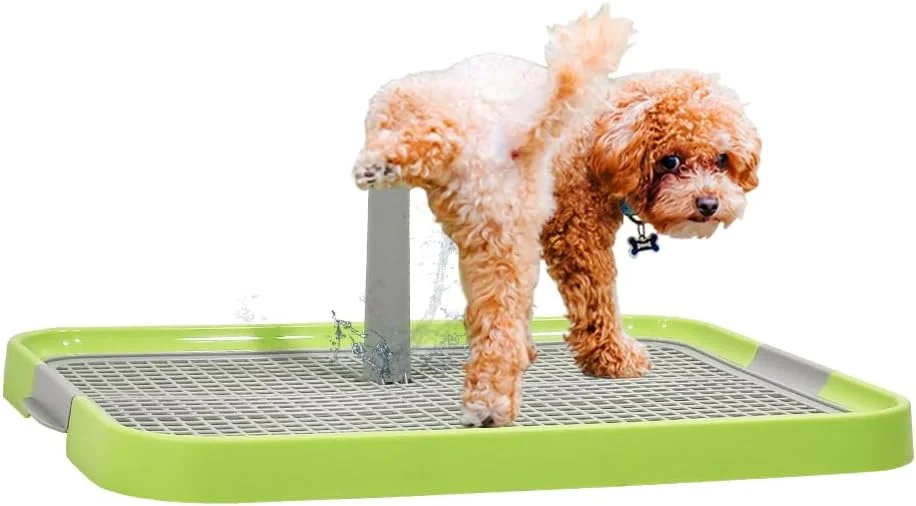 سینی توالت سگ، نگهدارنده پد ادرار با میله ایستاده، سینی آموزش سگ برای سگ های کوچک و متوسط، پنجه ها را خشک و کف را تمیز نگه دارید (رنگ سبز) 51 سانتی متر طول