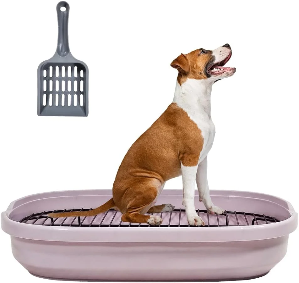 توالت سگ فروشگاه حیوانات خانگی در دراگون مارت، ضد پاشش و محصور، پنجه ها را خشک و کف را تمیز نگه می دارد، ساخته شده از پلاستیک PP با توری استیل ضد زنگ و اسکوپ جمع آوری مدفوع، سینی آموزش سگ 47 سانتی متر طول (رنگ صورتی)