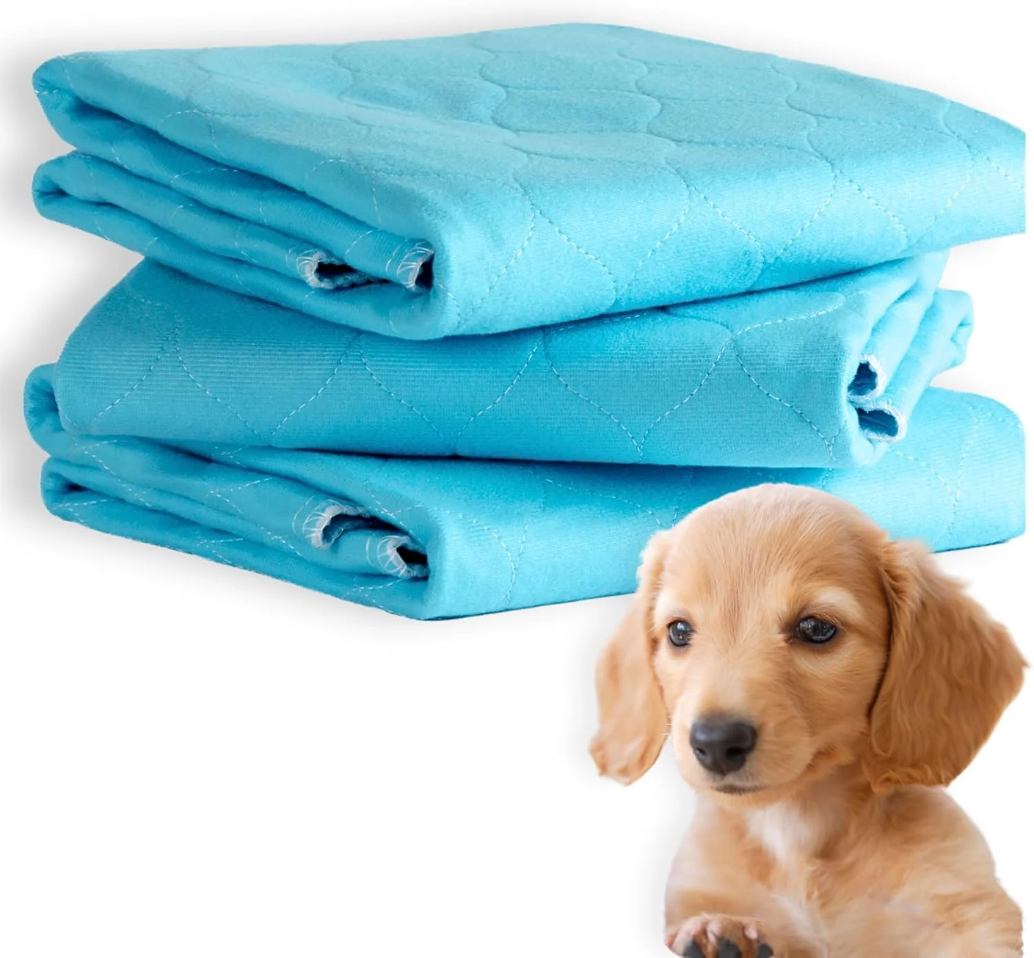 پدهای آموزشی سگ و توله سگ قابل شستشو، زیرانداز ادرار سگ با کیفیت عالی، جعبه 3 عددی بزرگ (آبی آسمانی، 80x60 سانتی متر)