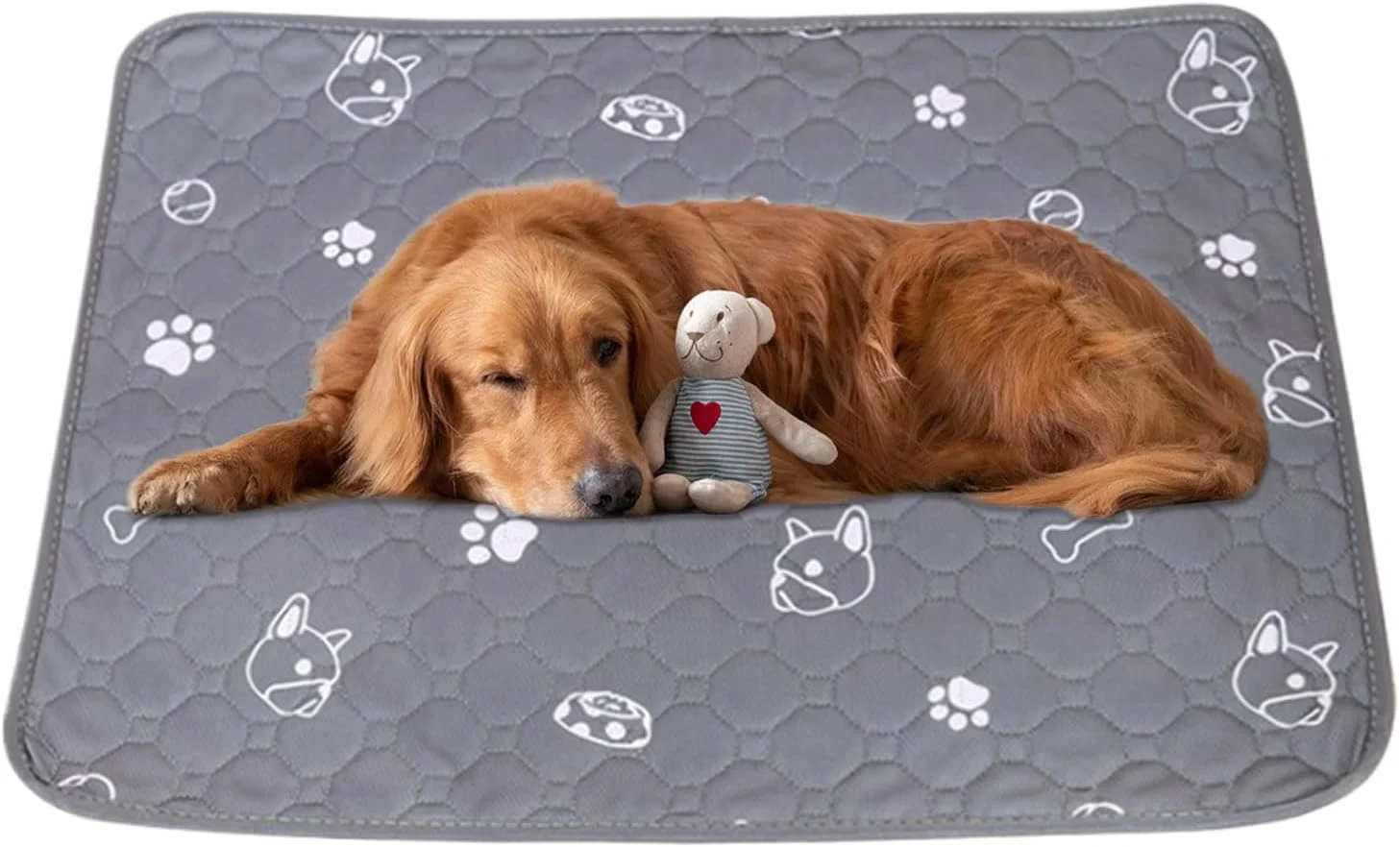 پدهای ادرار برای سگ ها | پدهای آموزشی ادرار برای سگ ها - لایه های قابل شستشو و ضد لغزش محافظ کف، لوازم حیوانات خانگی برای آموزش دستشویی قفس جعبه بستر گربه خرگوش حیوانات کوچک سگ