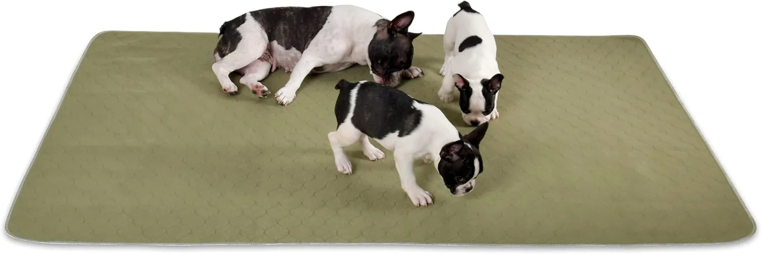 پدهای آموزشی سگ Millie Mats، قابل شستشو و جاذب رطوبت، مناسب برای استفاده در زایمان، باکس، ماشین، فرش، مبلمان. برای حیوانات خانگی مسن یا بیمار با بی اختیاری. 112x160 سانتی متر - بسته تکی XXL سبز پدهای آموزشی سگ Millie Mats، قابل شستشو و جاذب رطوبت، مناسب برای استفاده در زایمان، باکس، ماشین، فرش، مبلمان. برای حیوانات خانگی مسن یا بیمار با بی اختیاری. 112x160 سانتی متر - بسته تکی XXL سبز