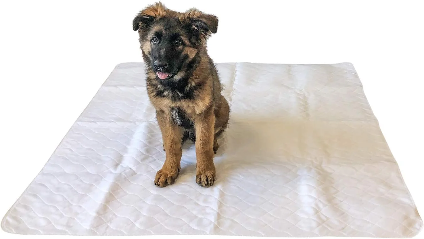 پد ادرار سگ میدلی 120x120 سانتی متر - بسته 2 عددی - قابل شستشو و استفاده مجدد، پد بزرگ آموزش دستشویی توله سگ پد ادرار سگ میدلی 120x120 سانتی متر - بسته 2 عددی - قابل شستشو و استفاده مجدد، پد بزرگ آموزش دستشویی توله سگ