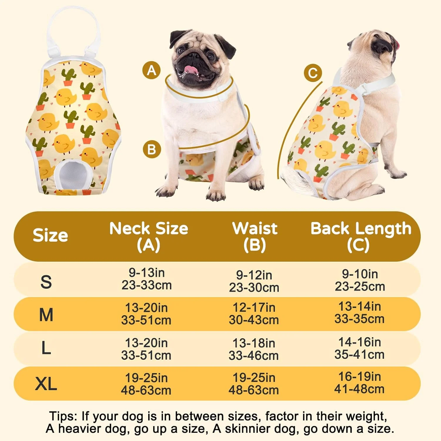 لباس سگ MICOOYO - شورت بهداشتی سگ یکبار مصرف - پوشک سگ زنانه قابل استفاده مجدد برای سگ ها و توله سگ ها، شلوار قاعدگی سگ قابل شستشو با بند شانه ای قابل تنظیم (حیوانات، M)